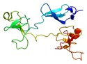Learn more about Fibronectin