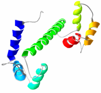 Calmodulin