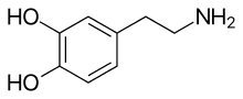 Learn more about Dopamine