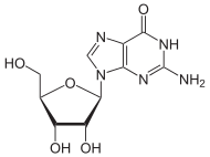 Learn more about Guanosine
