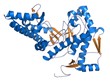 Hyaluronidase