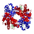 Metalloprotein