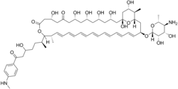 Perimycin